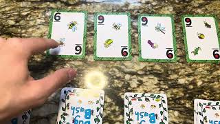 How To Play The Bug Bash Game