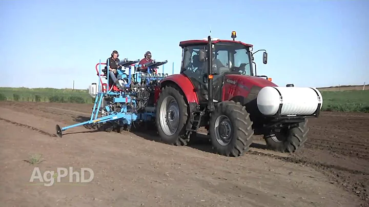 Ag PhD Show #919 (Air Date 11/15/15)