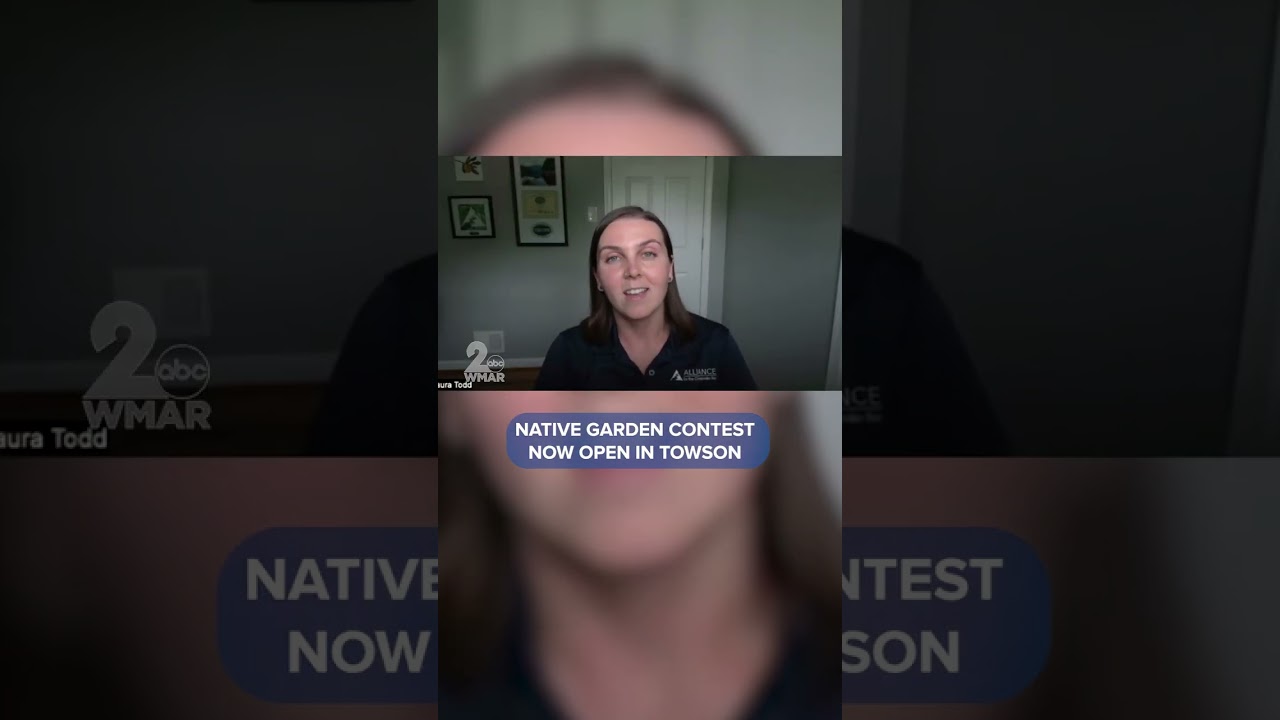 Thinking outside the garden box: Native garden contest now open in Towson