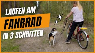 Der ultimative Guide: So lernt dein Hund, am Fahrrad zu laufen - ohne Stress! by DOGsTV - Online Hundetraining 4,195 views 2 weeks ago 17 minutes