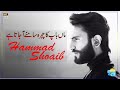 Watch Hammad Shoaib Ki Zindagi Main Parents Ka Kirdaar Online In Hd