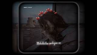 Maahi ve 💔🖇️||Lofi song status||Trending status 🦋