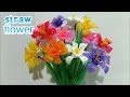 ดอกไม้จากหลอด by มายมิ้นท์ STRAW FLOWER