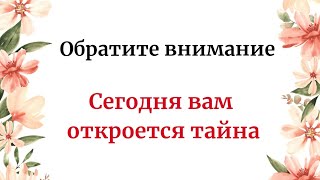 Обратите внимание. Сегодня вам откроется тайна.