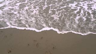 Jacks first dip in the sea