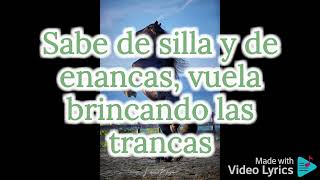 Vicente Fernández - Se Vende un caballo Letra