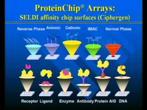 Clinical Proteomics...