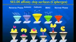 Clinical Proteomics...