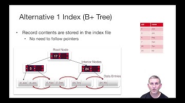 Lec 7 Part 4 Three Alternatives for Data Entry Storage