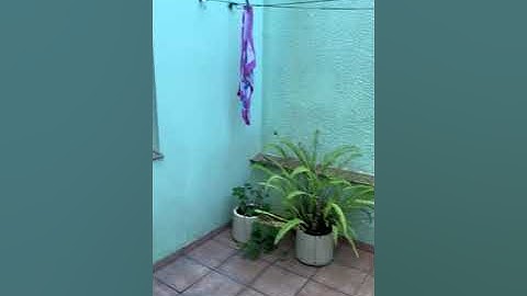 WhatsApp Video 2024 04 02 at 11 45 36 AM