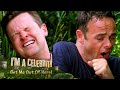 Ant & Dec Face Their First Bushtucker Trial! 😲 | I'm A Celebrity