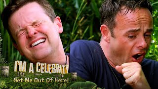 Ant \& Dec FINALLY take on a Bushtucker Trial! | I'm A Celebrity... Get Me Out Of Here!