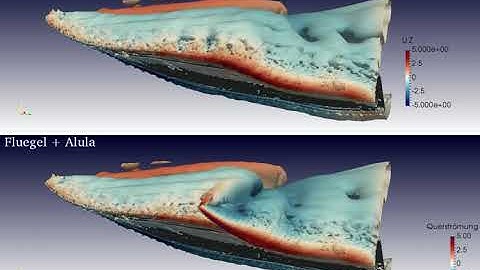OpenFOAM CFD: Pigeon wing with alula extended