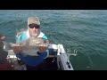 Pearl Perch fishing | Crowdy Head New South Wales | Fishing Action