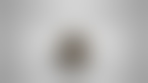 (Video Request) What is Rocketdock?