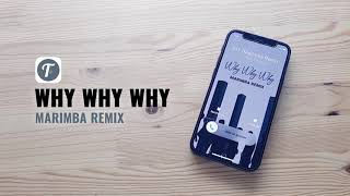 WHY WHY WHY Ringtone (Marimba Remix) | Ringtone Why Why Why iKon Tribute | Download FREE TUUNES APP