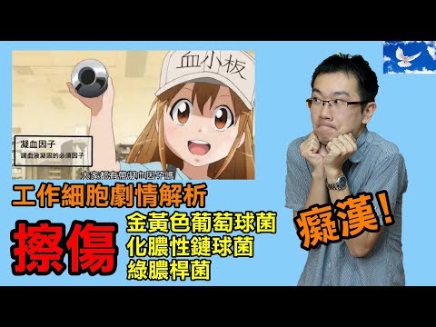 『工作細胞』02劇情&彩蛋解析！Feat金黃色葡萄球菌.鏈球菌.綠膿桿菌.血小板.免疫系統 | はたらく細胞 | Cells At Work!