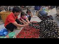 Three orphan brothers went to harvest chili peppers to sell at the market