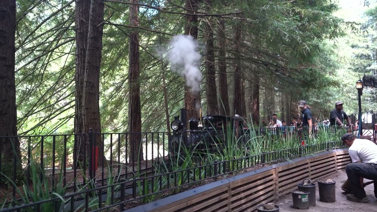 Redwood Valley Railway Number 11
