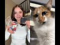 Prima vc é complicada.#cat #cats #catvideos #catshorts #catlife #catvideo #catmemes