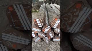 Java taekwood. quality number one in the world. #woodworking #woodart #teakwood