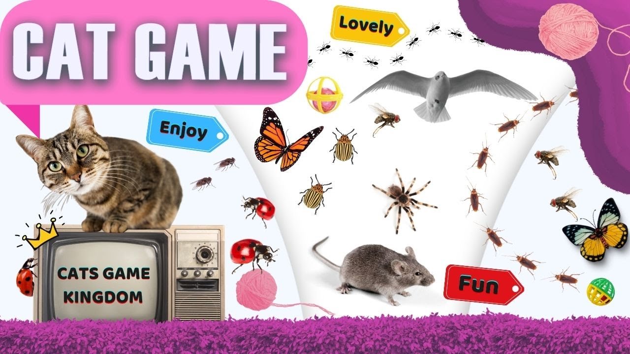 Fun-Filled Interactive Play for Cats - 3 Hours of Non Stop Video For ...