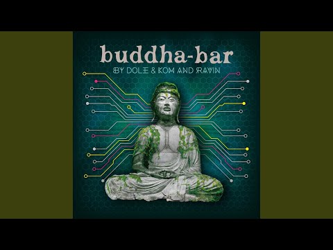 Buddha Bar, Linear, The Saint - Oasis