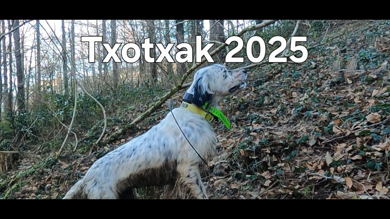 ⁣Txotxak 2025