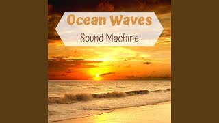 Ocean Echoes
