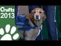 Guide Dogs Display - Crufts 2013