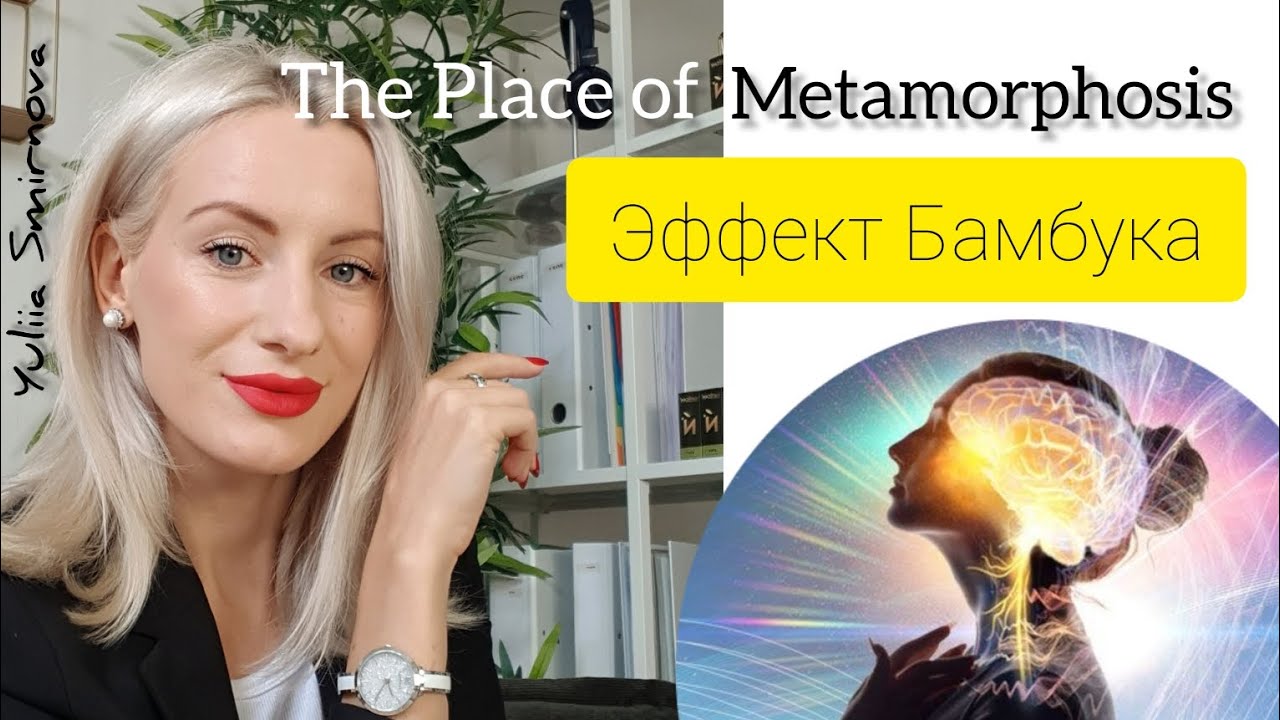 Эффект бамбука. Посадка семян в подсознание - YouTube