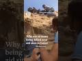 Understanding the Aid Crisis in Gaza