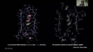 Celebrity Jason Swedlow: Building an AI-directed BioImage Data Infrastructure Wealth