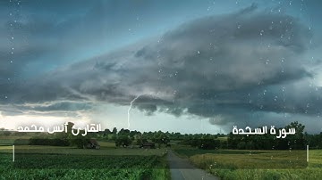 سورة السجدة كاملة   القارئ أنس محمد   Surah As Sajda   Reader Anas Mohammad