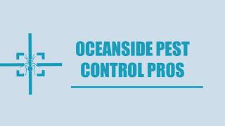 Oceanside Pest Control Pros - Ant Control Services in Oceanside CA