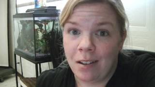Organize your Gift Giving