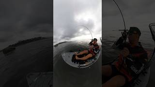 Peixe pouco valorizado, mais que trás uma briga top pro pescador #peixe #fish #pescaria #caiaque