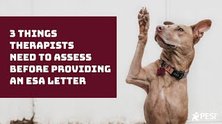 3 Things Therapists Need to Provide Before Providing an ESA Letter