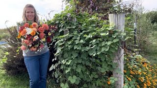 The Best of Late Summer on the Flower Farm : cut flowers : Zone 5 : Iowa