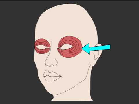 Bloomyy und die Kräftigung des Auges, Teil 1