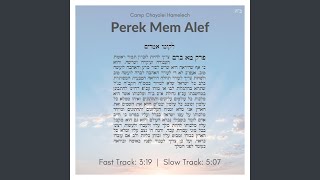 Perek Mem Alef (Slow Track) screenshot 5