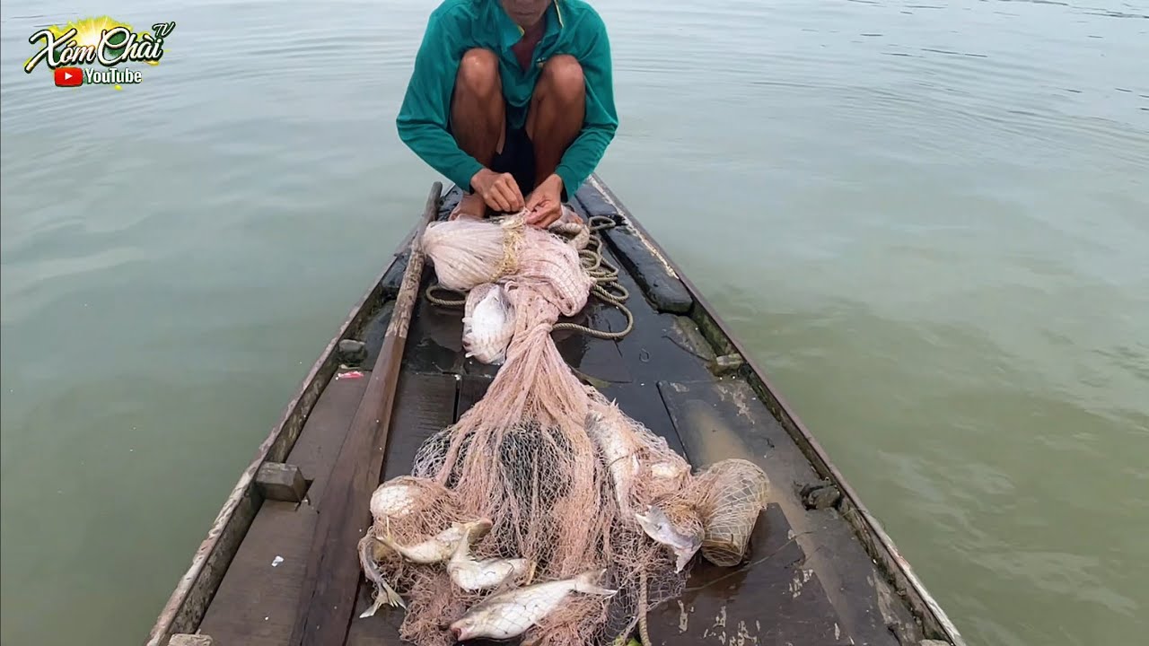 Chài Theo Làng Bè Bắc Cá Bụng 