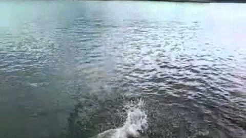 James Logsdon an Andrew Hood cliff jumping