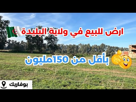 تم بيع قطعة أرض بأقل من 150مليون للآر في بوفاريك ولاية البليدة