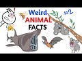 Weird Animal Facts You Never Knew - Part 2
