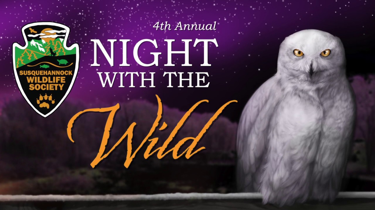 maryland board of nursing Night with the Wild Update - Tickets ALMOST Sold Out!