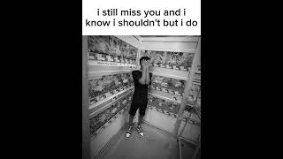 Flawed Mangoes - Fragility Slowed Reverb