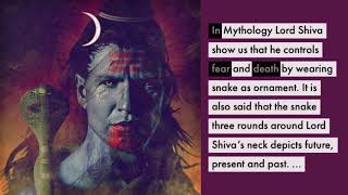 Snake Tattoos Meaning and History