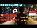 【Last 48 hours in Singapore🇸🇬】新加坡国庆特别企划〜National Day Special!〜