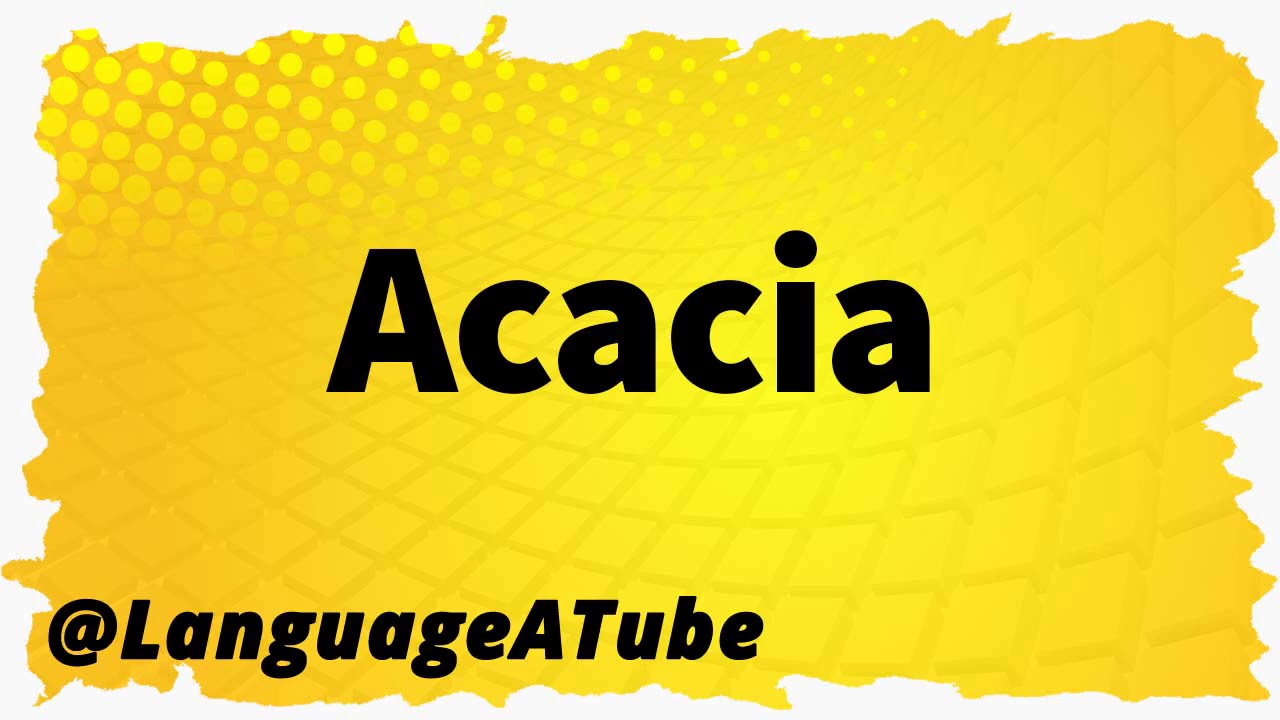 Acacia Pronunciation ⚡️ How To Pronounce Acacia! YouTube
